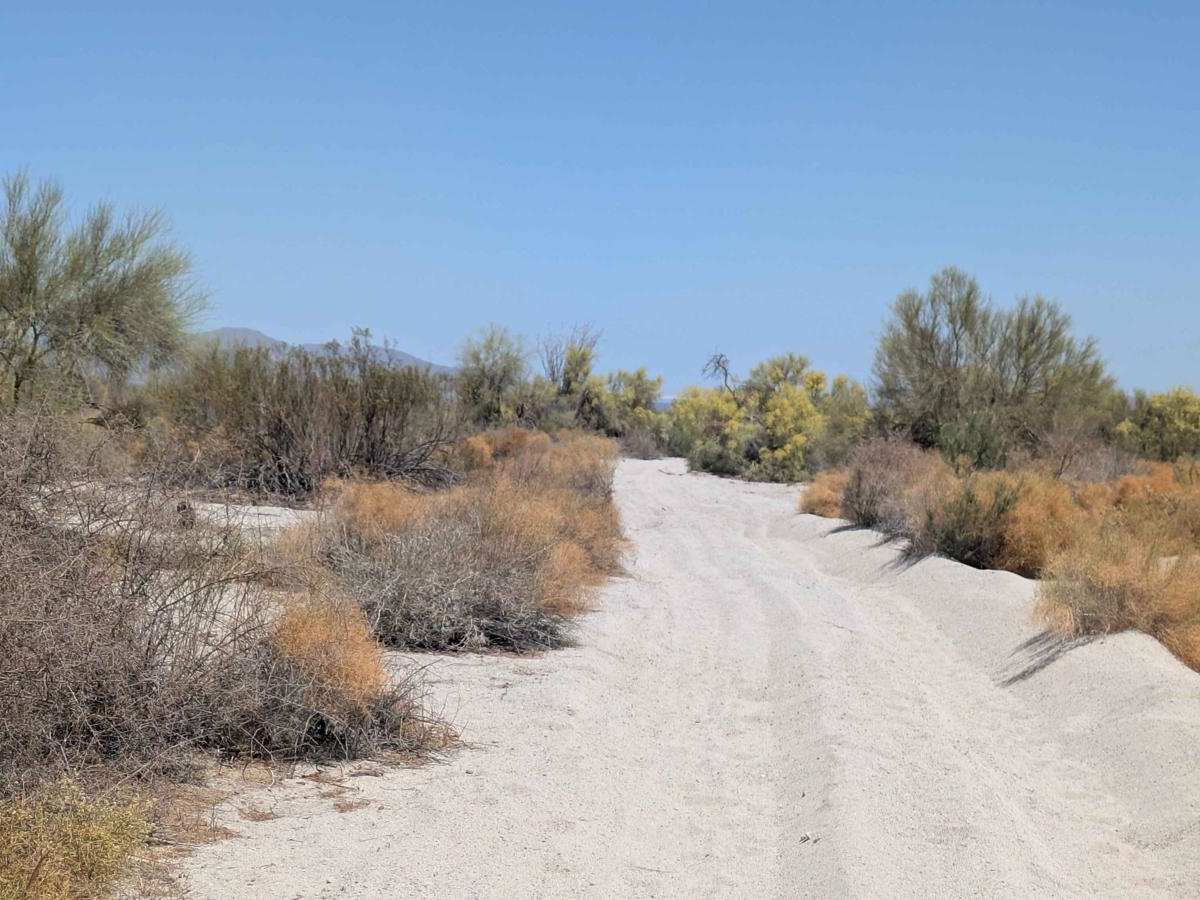 Palo Verde Run photo 6