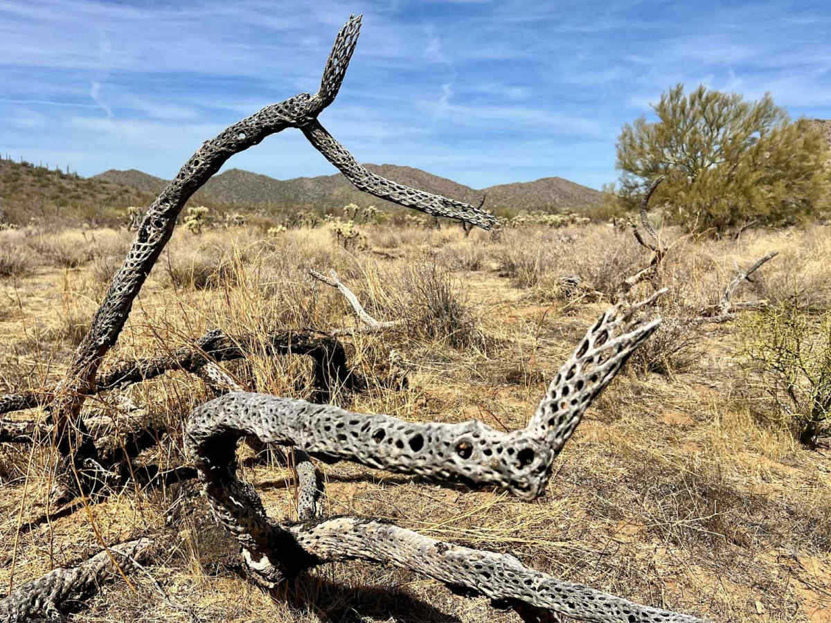 Coyote Peak South photo 6