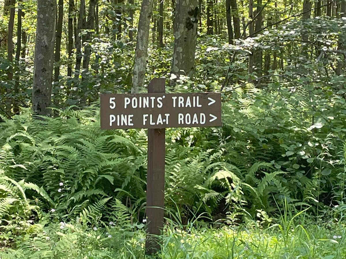 Mile Run Road photo 2