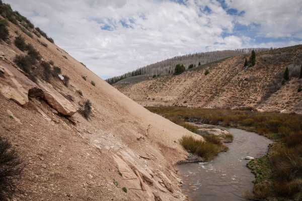 Willow Creek #025