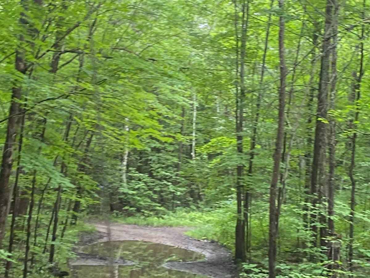 Scotch Line photo 2