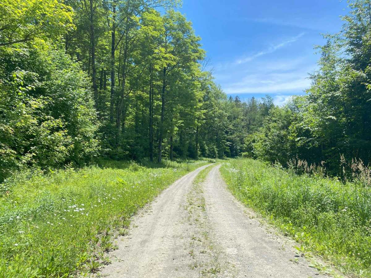 Kennedy State Forest photo 2