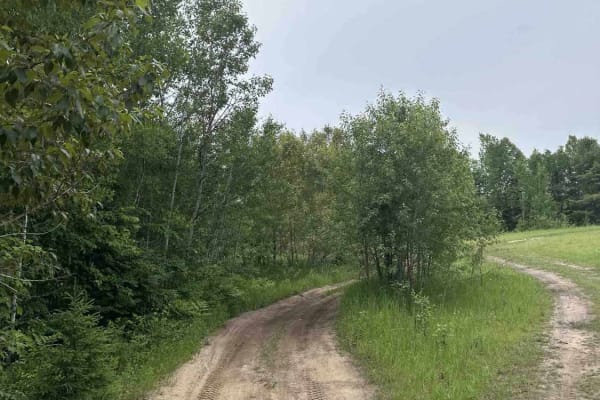 Trout Lake Spur