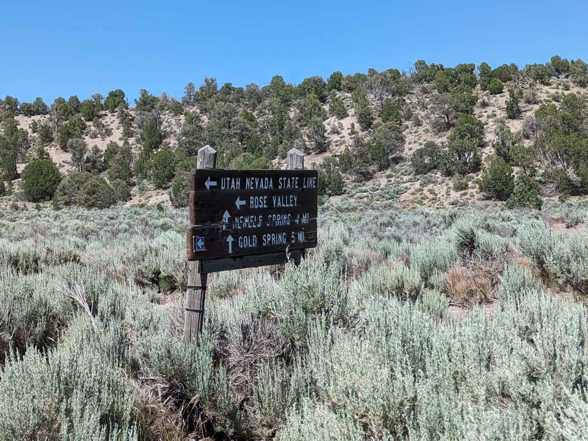 Gold Springs Road photo 4