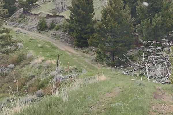 Cold Springs Road