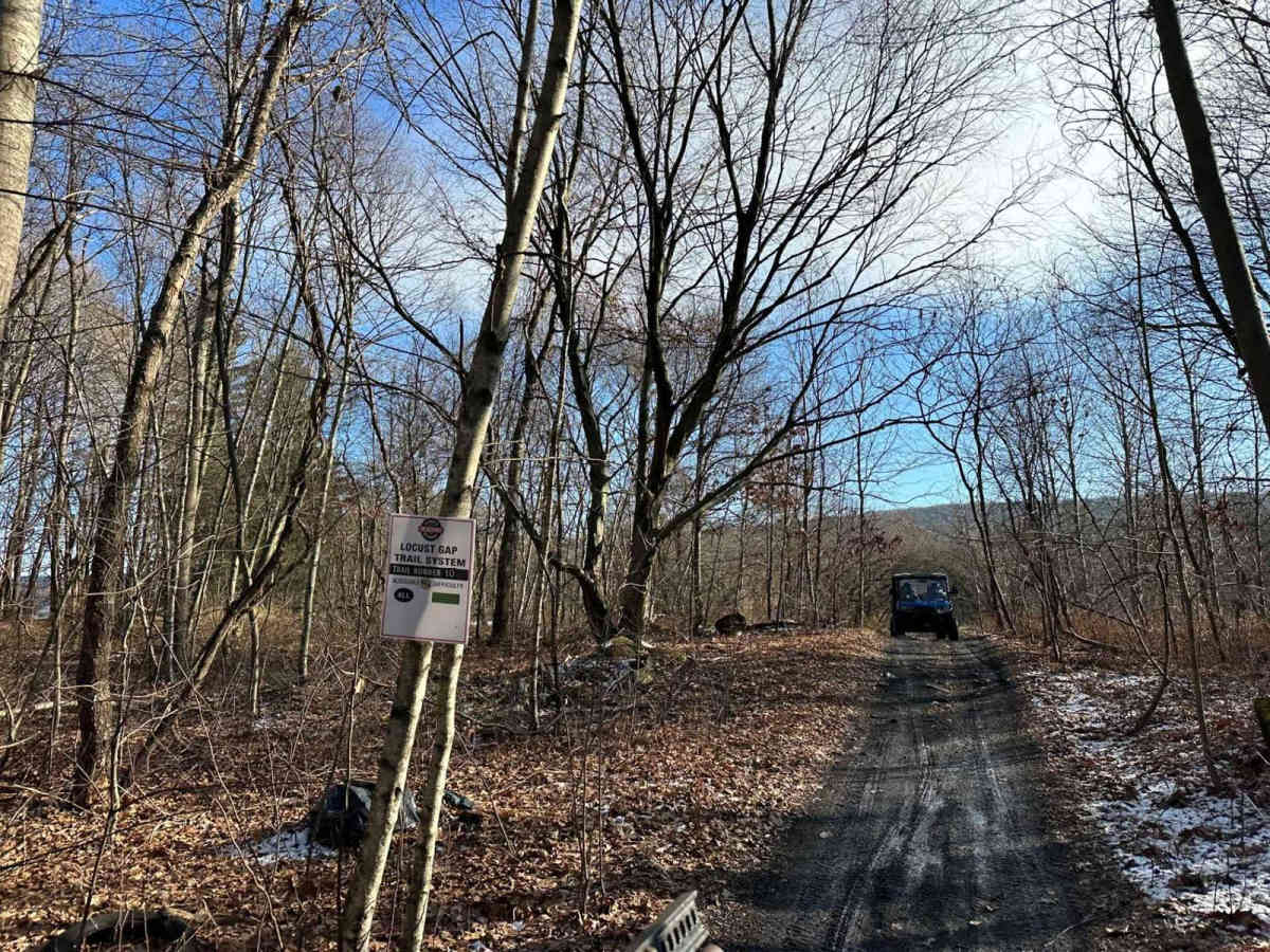 Locust Gap 10 photo 4
