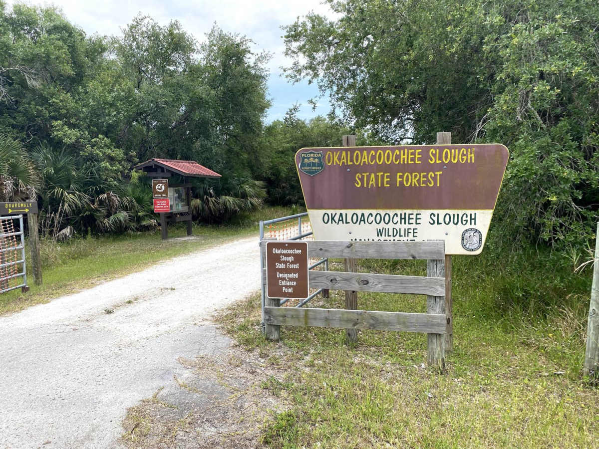 Okaloacoochee Slough trail photo