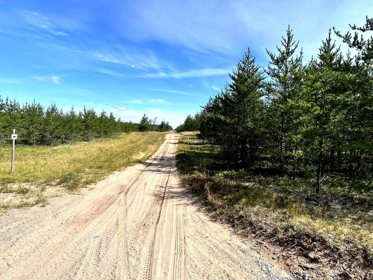 Baraga Plains South Loop photo 5