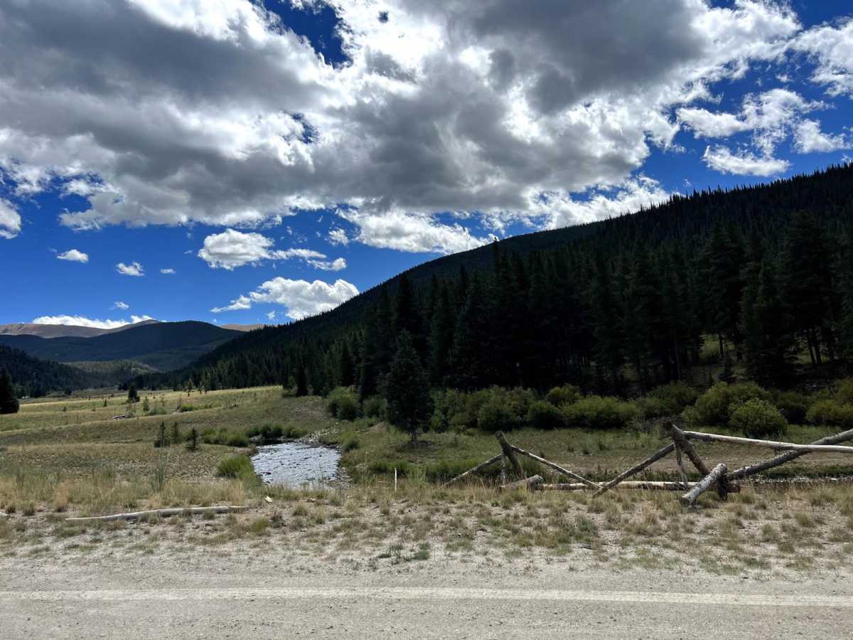 Tiger Road to Greenhorn Gulch photo 4