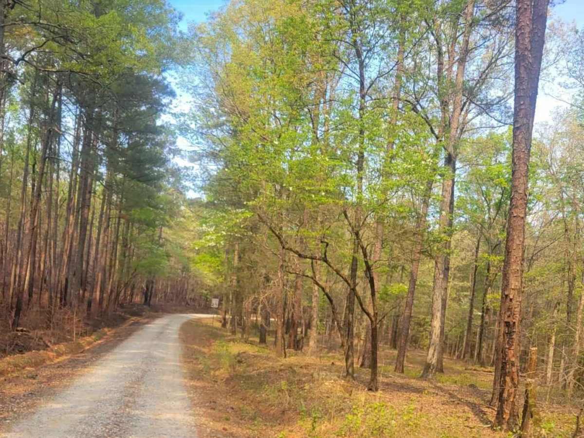 Felton McMichael Road photo 4
