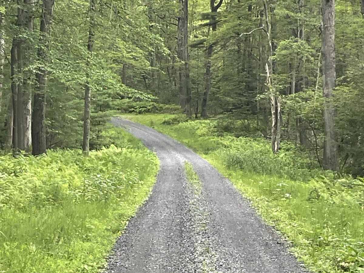 Zimmerman Road photo 5