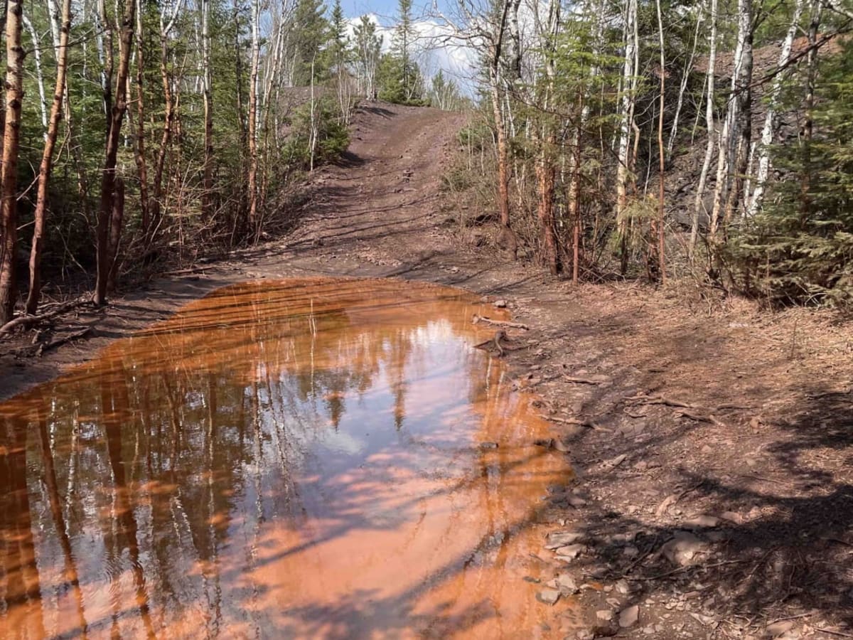 Core Trail photo 3