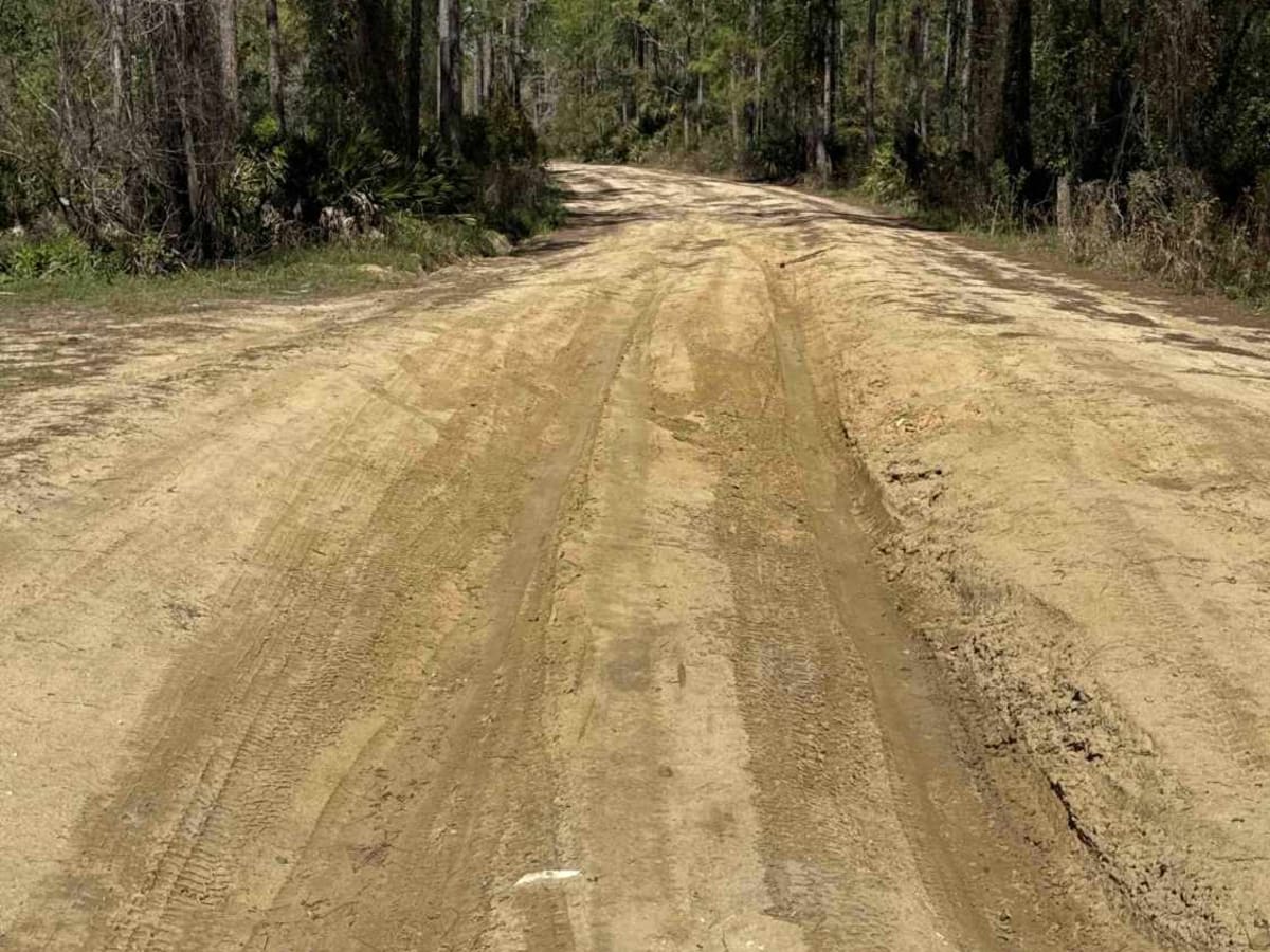 Black Water Creek - ONF 61 photo 4