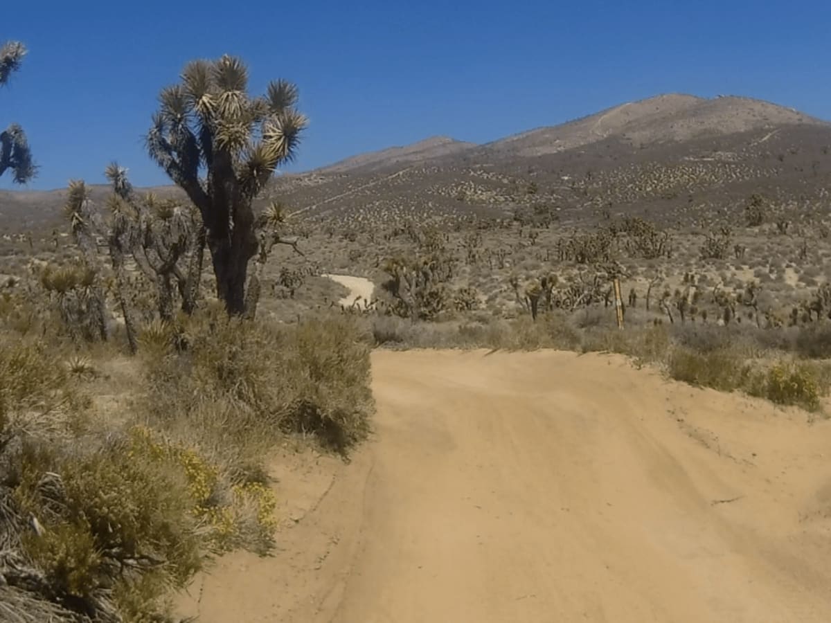 Alphie Springs Wash photo 3