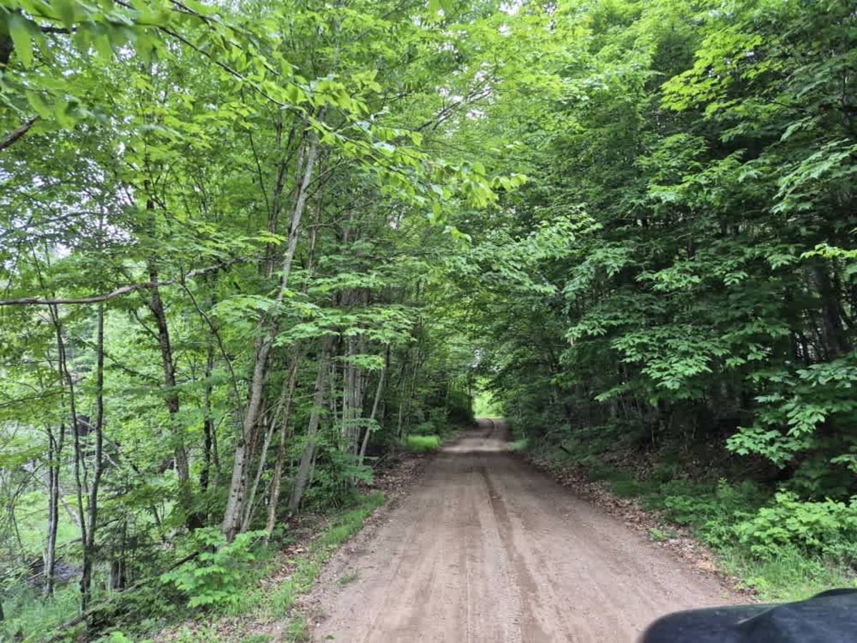 Long Level Road photo 2