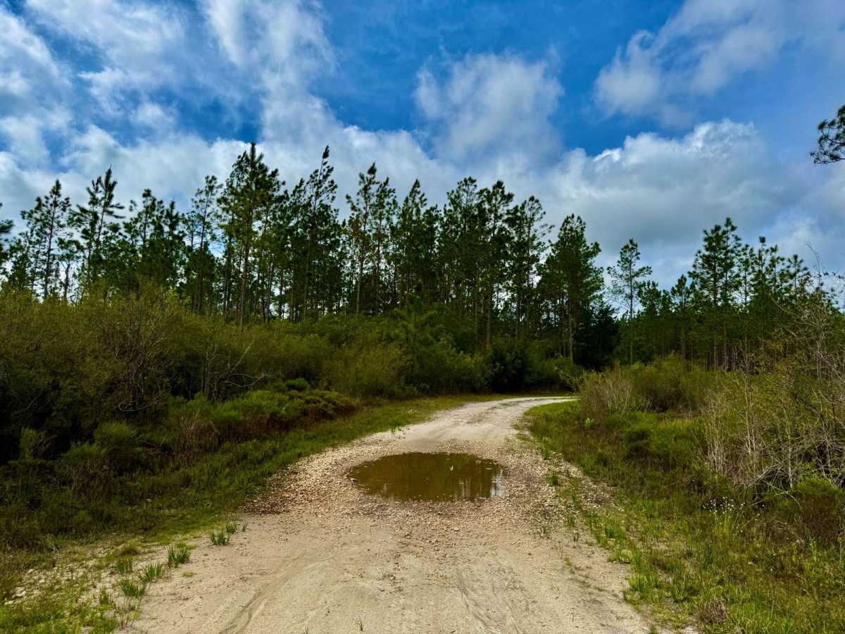 SFR 123 photo 3