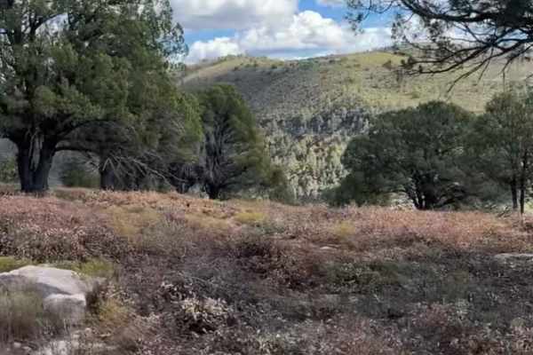 Flowing Springs MT-74