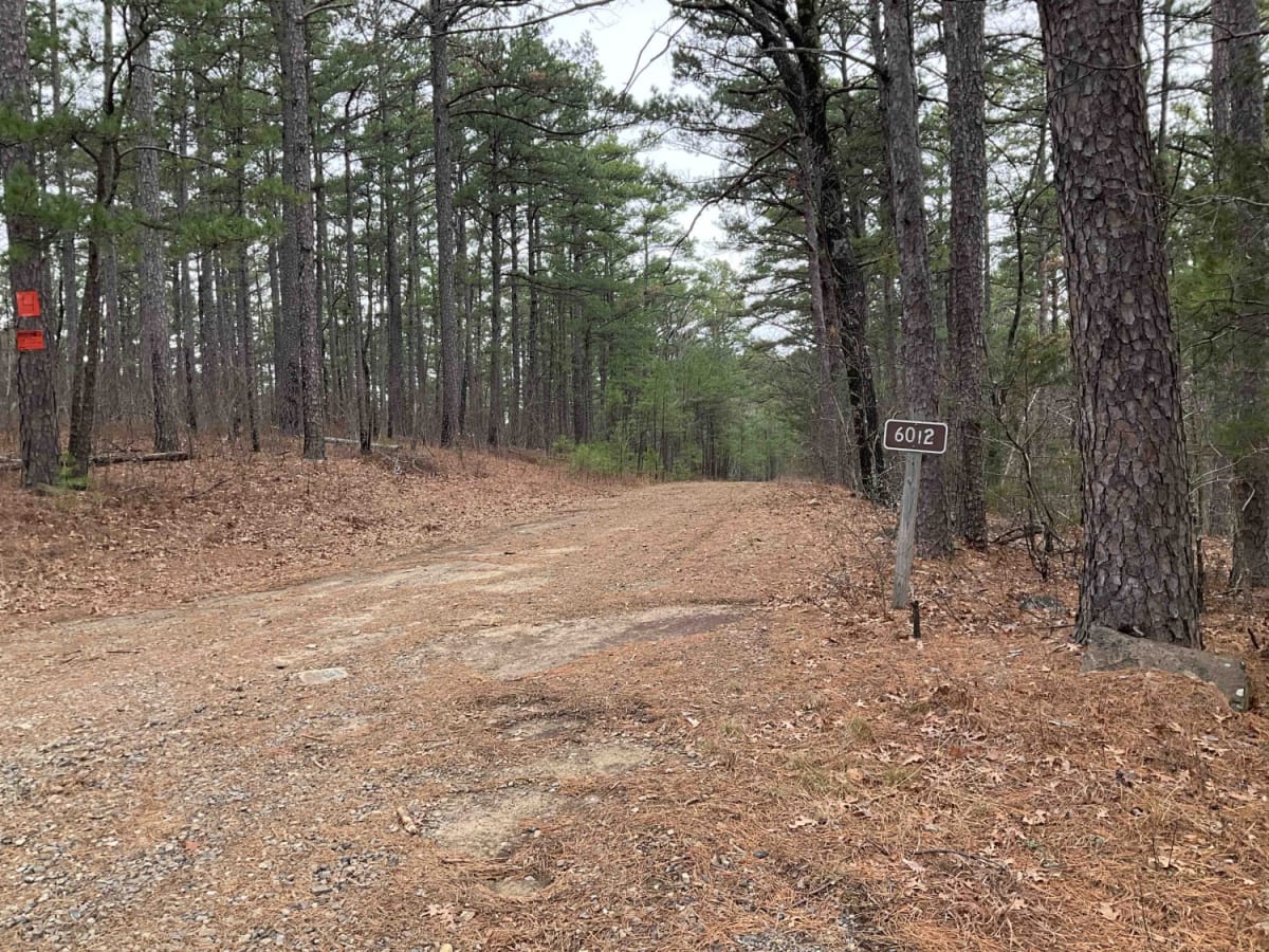 Goldville Trail trail photo