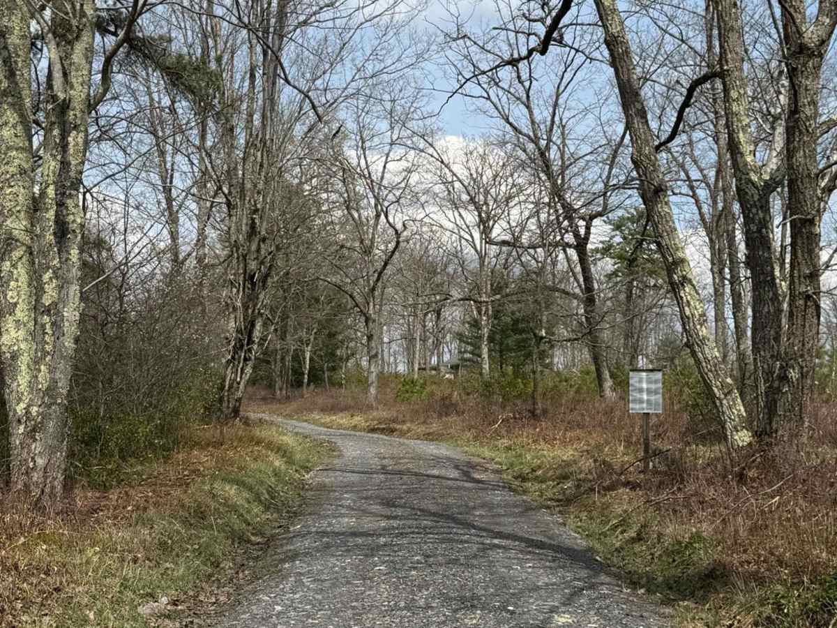 Boyer Mill Road photo 3