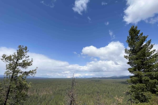Finley Butte