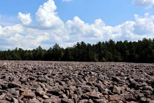 Boulder Field Run