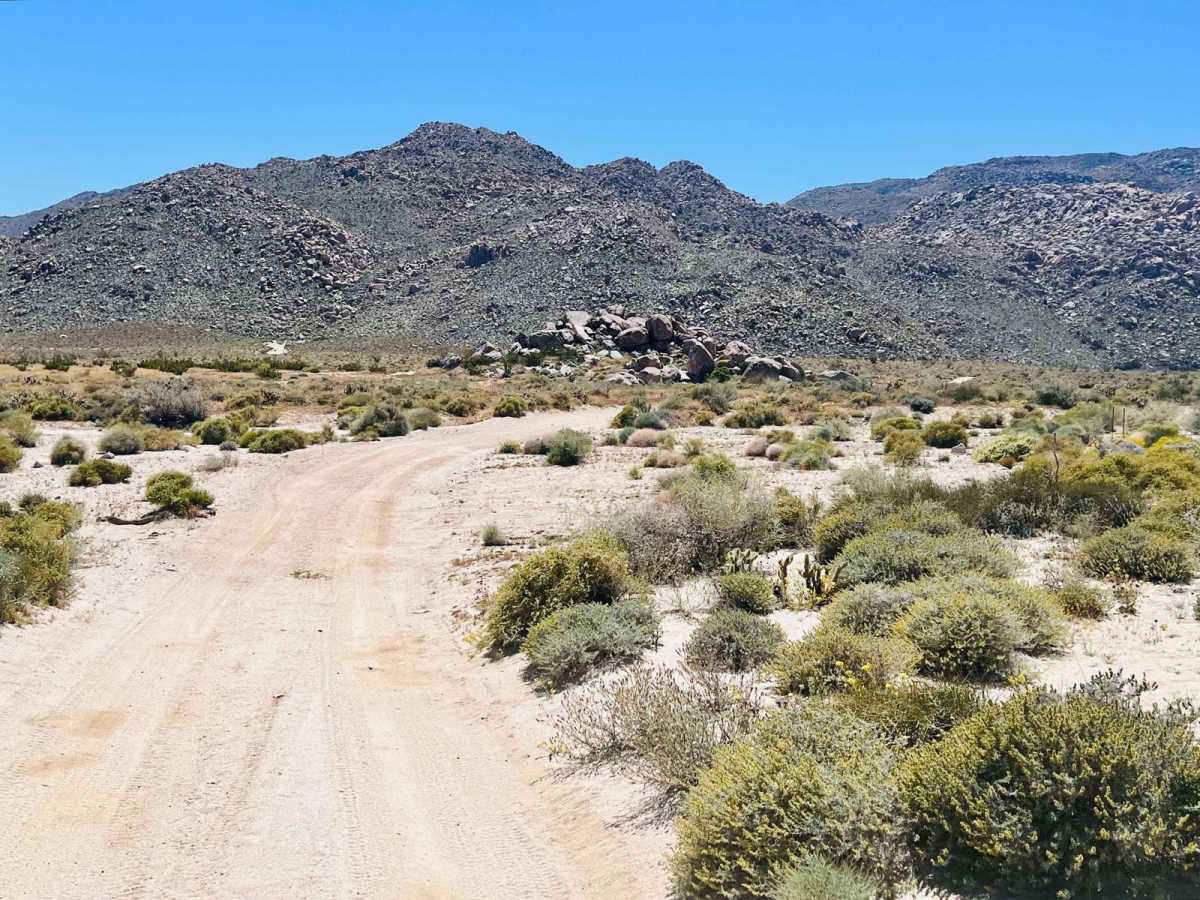 Jojoba Canyon photo 5