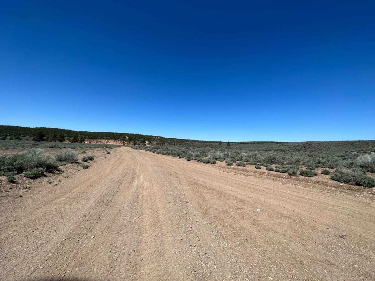 Pine Canyon Dam Road trail photo