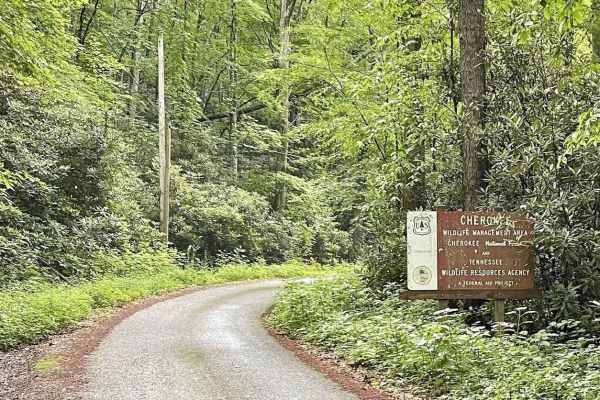 Little Stoney Creek/Laurel Fork