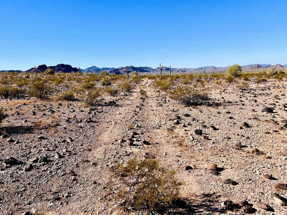 AZ Peace Trail Lava Rock Camp Trail photo 6