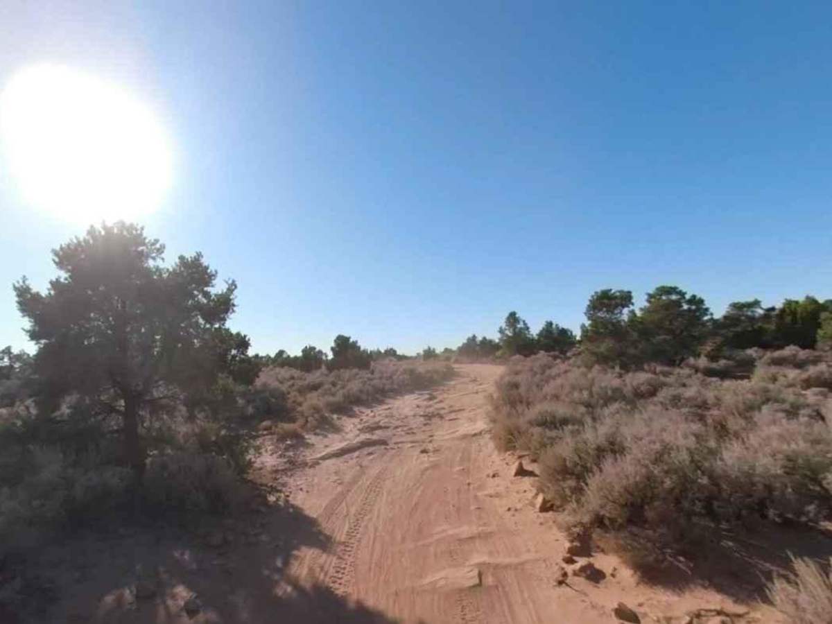 White Trail photo 2