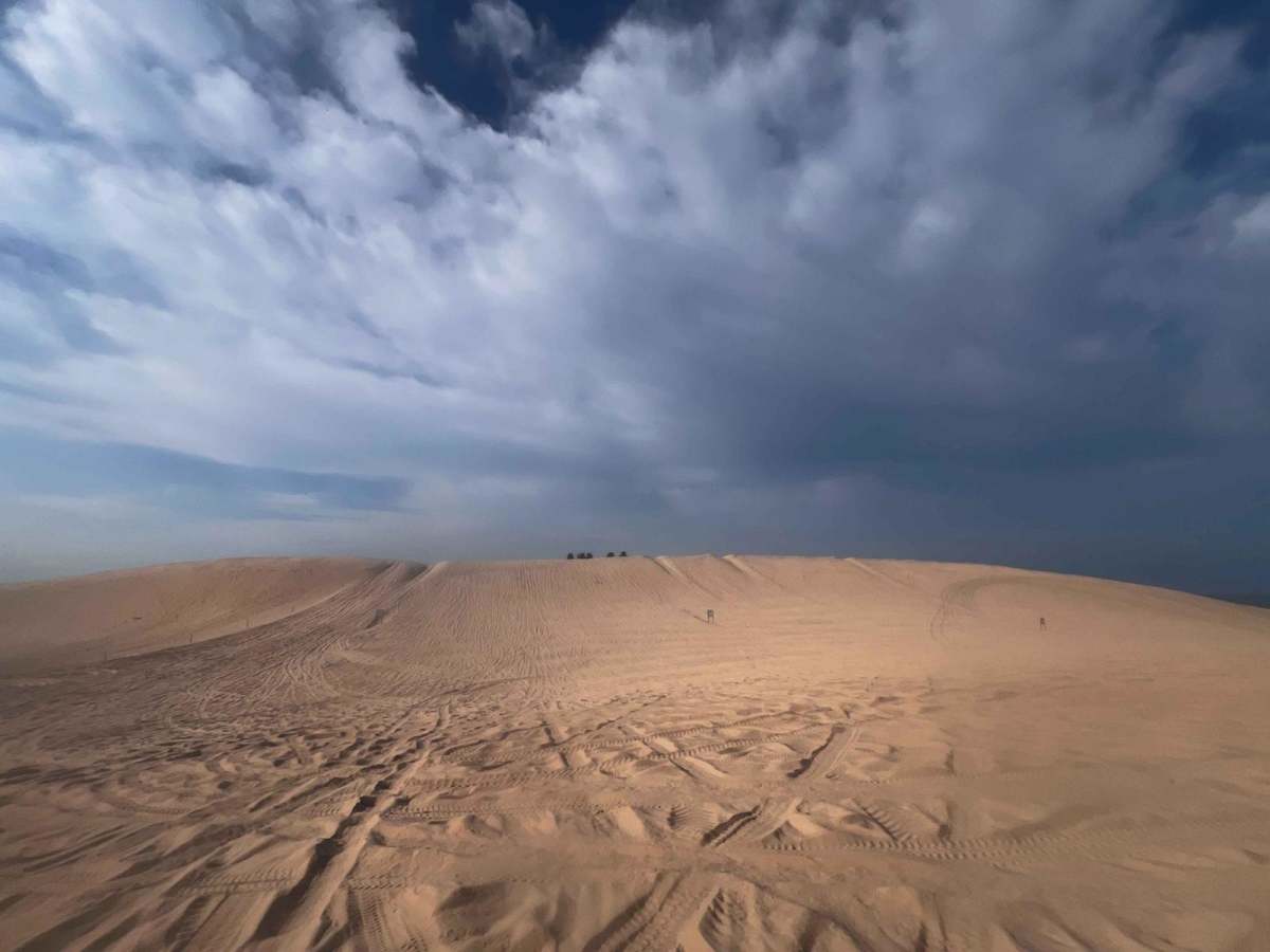 Silver Lake State Park ORV Area (Sand Dunes) photo 3
