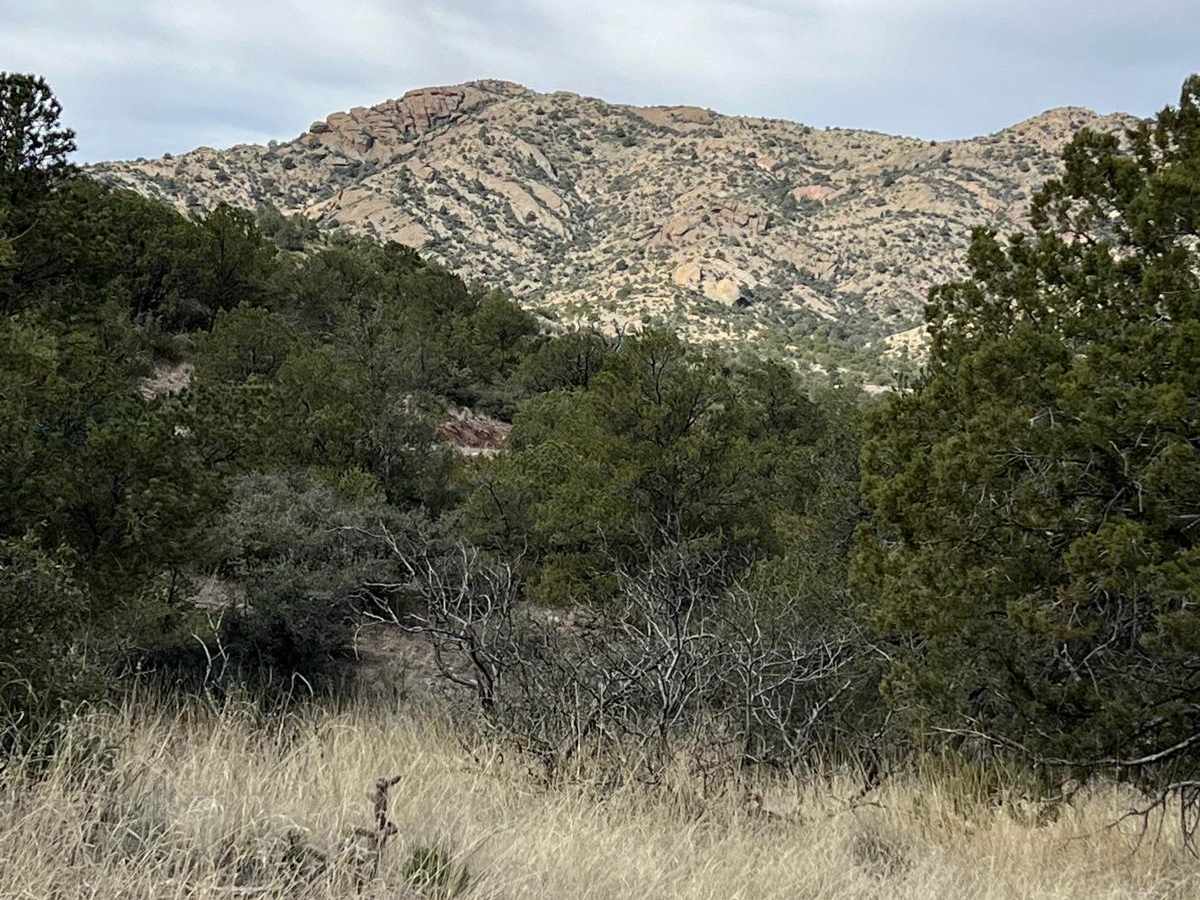 Upper Gold Gulch photo 5