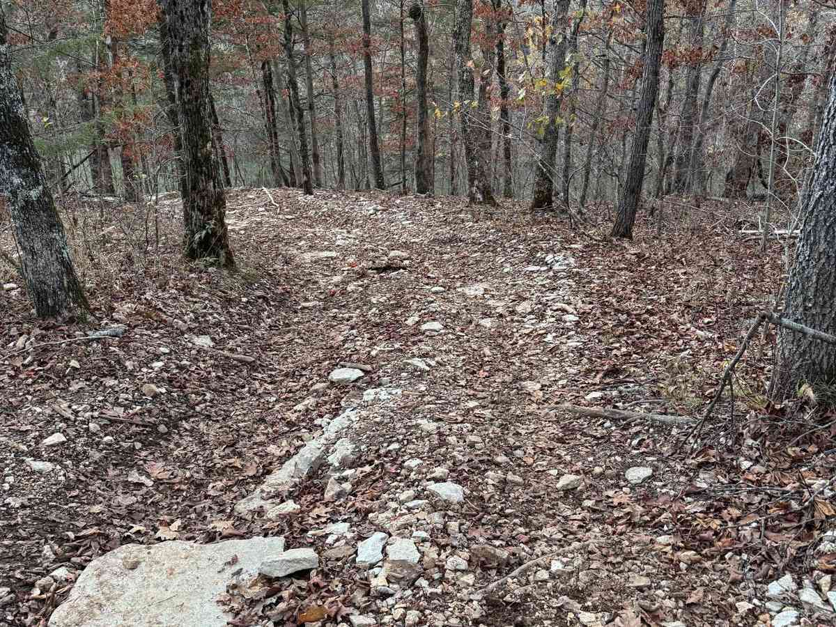 Red 185 trail photo