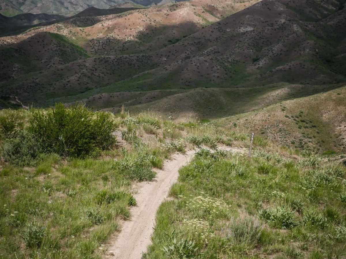 542 trail photo