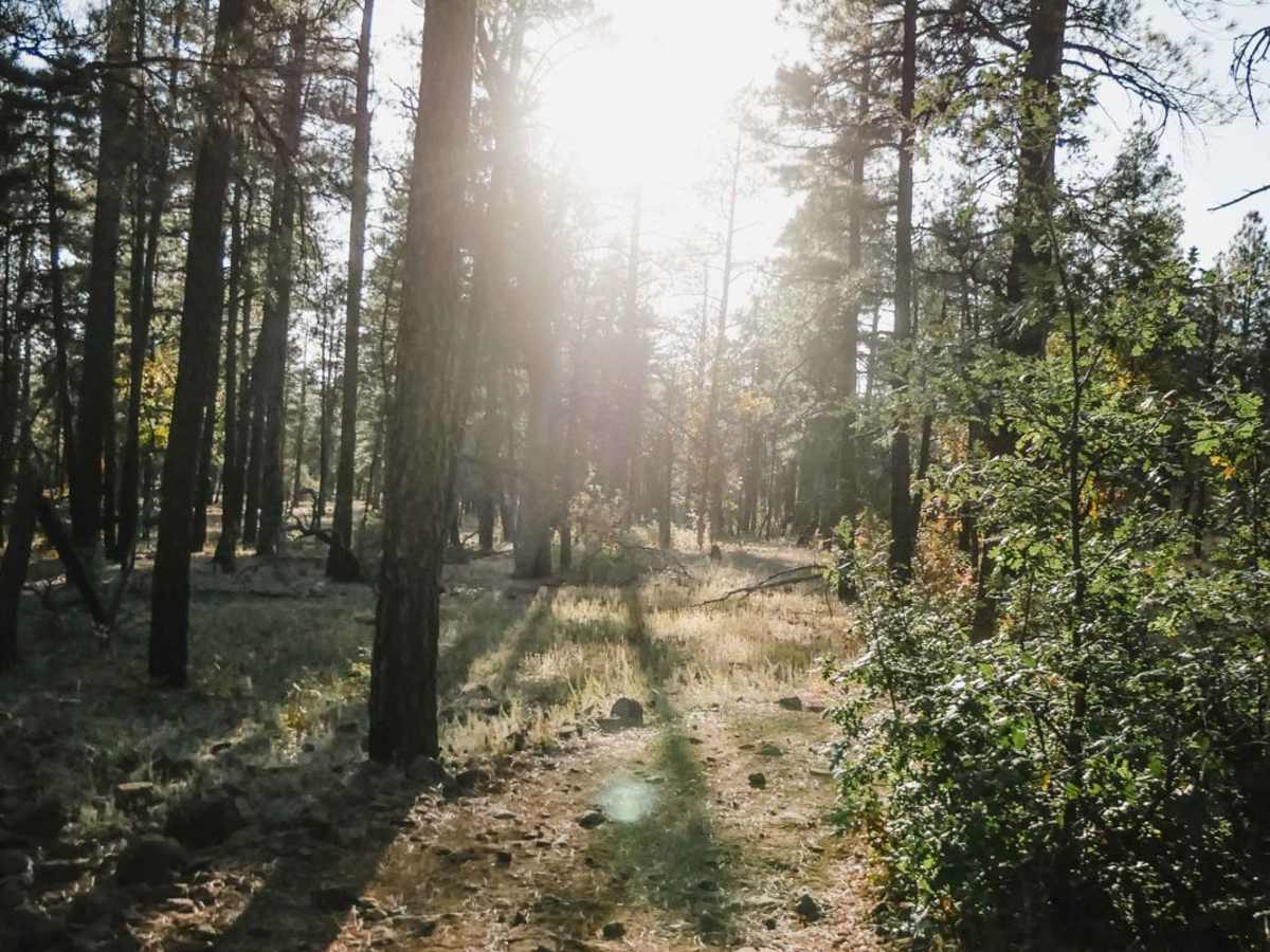 Iron Springs Connector photo 5