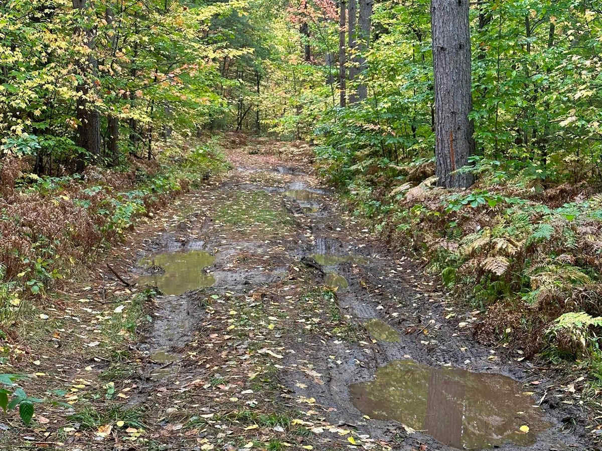 FS 2456 trail photo