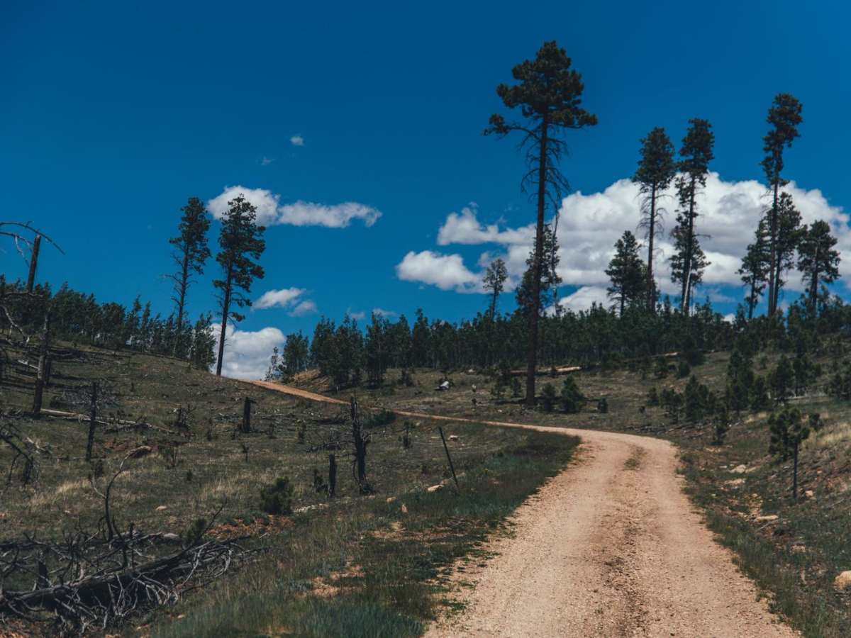 Half Mile Access Road photo 2