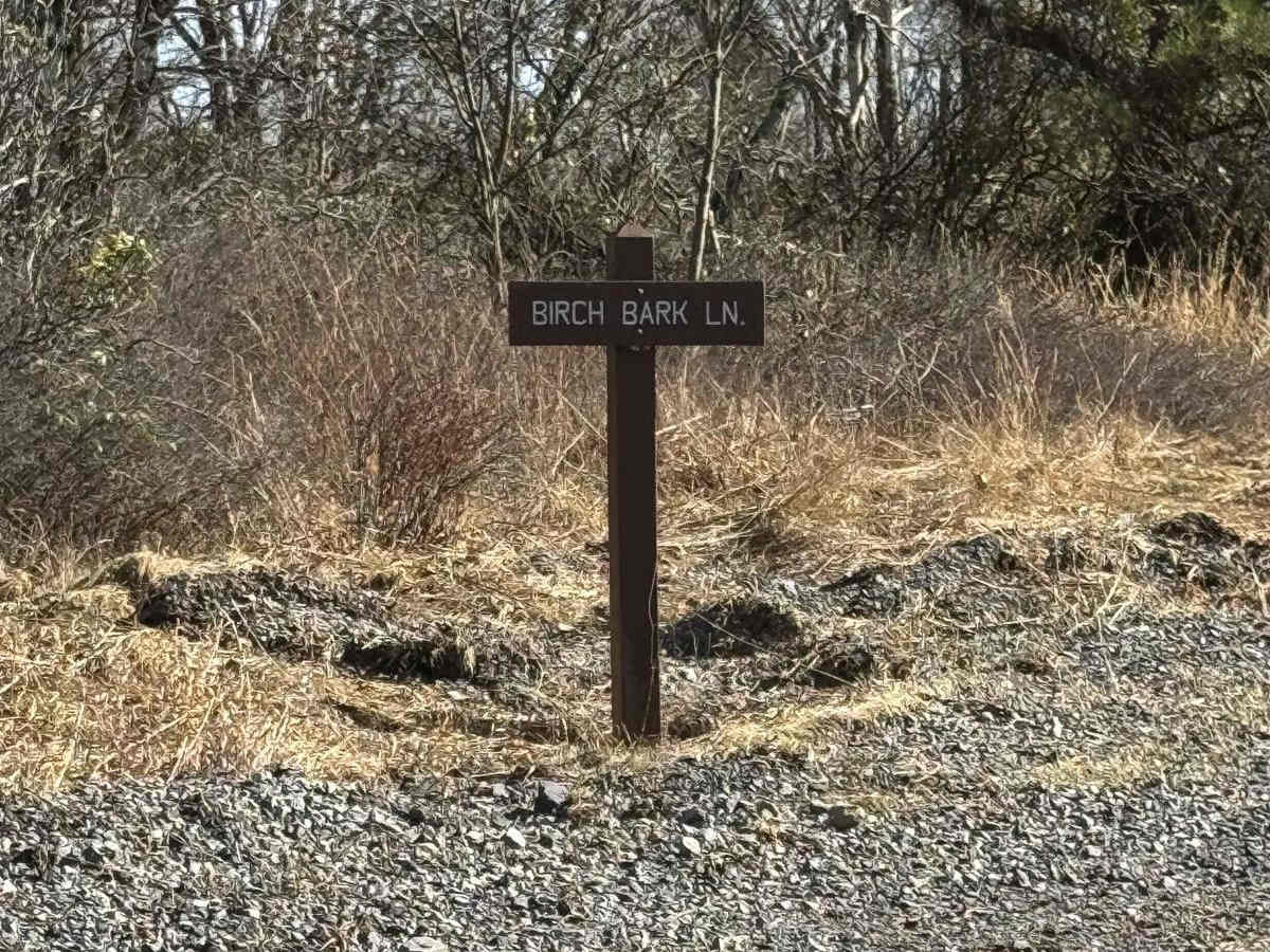 Grugan Hollow Road photo 5