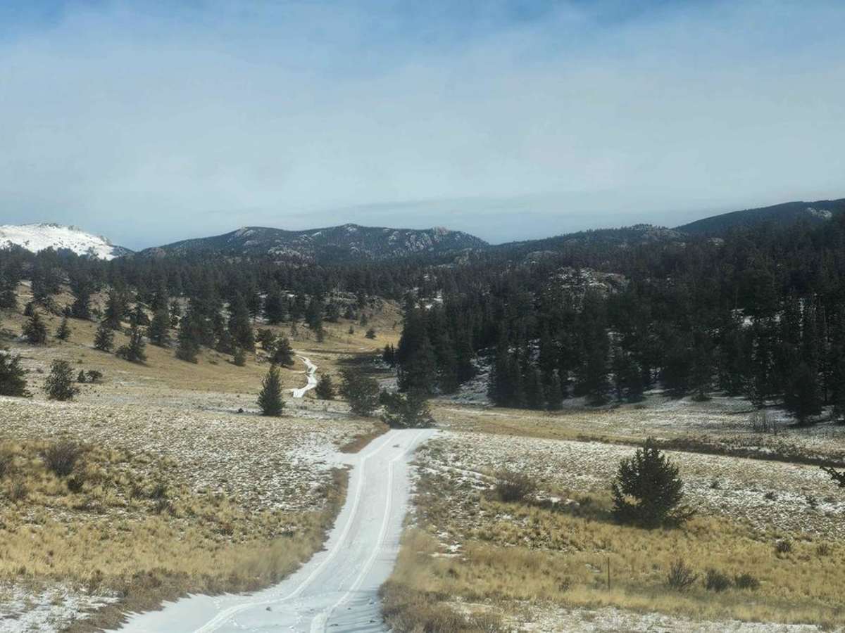 Long Road - FS 140 trail photo