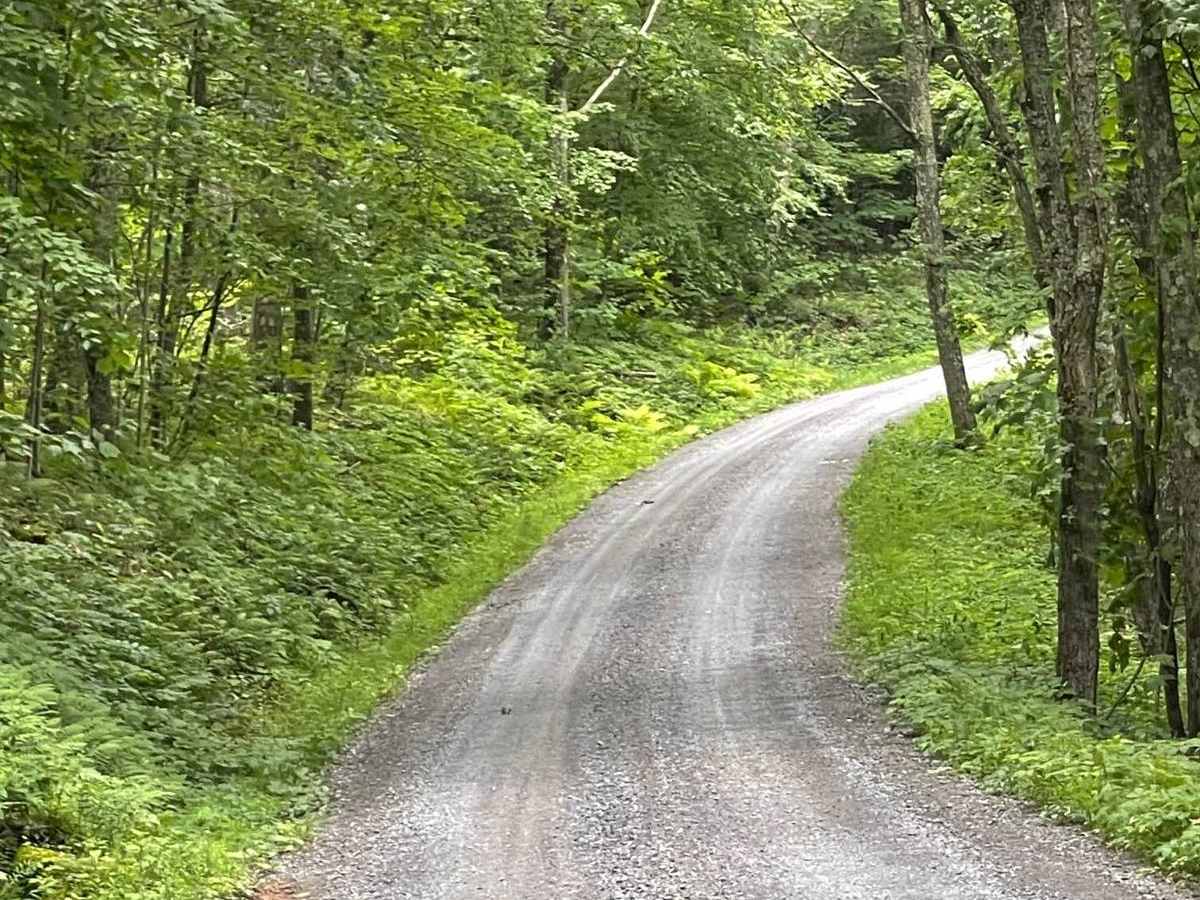 Kalbfleish Road photo 4