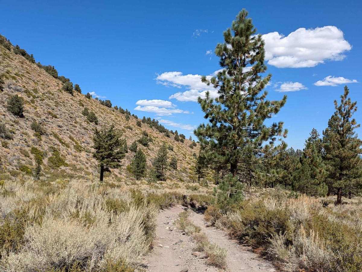 1S16A/39e103 trail photo