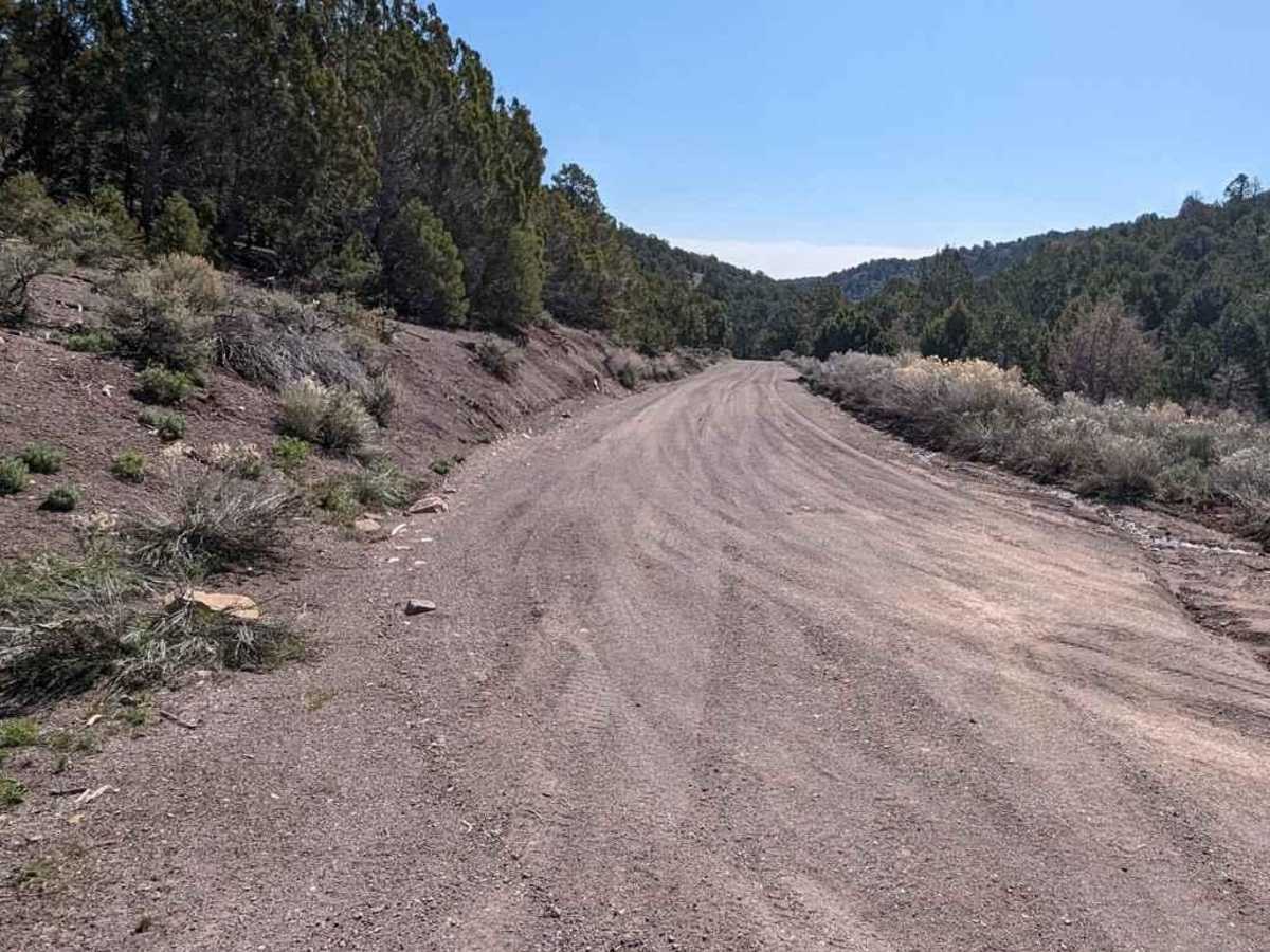 Willow Creek Road East photo 4