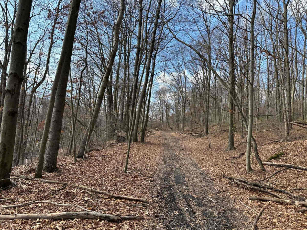 Ashland 60 photo 3