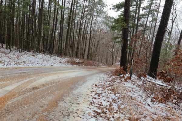 Timber Lane - FS 2514