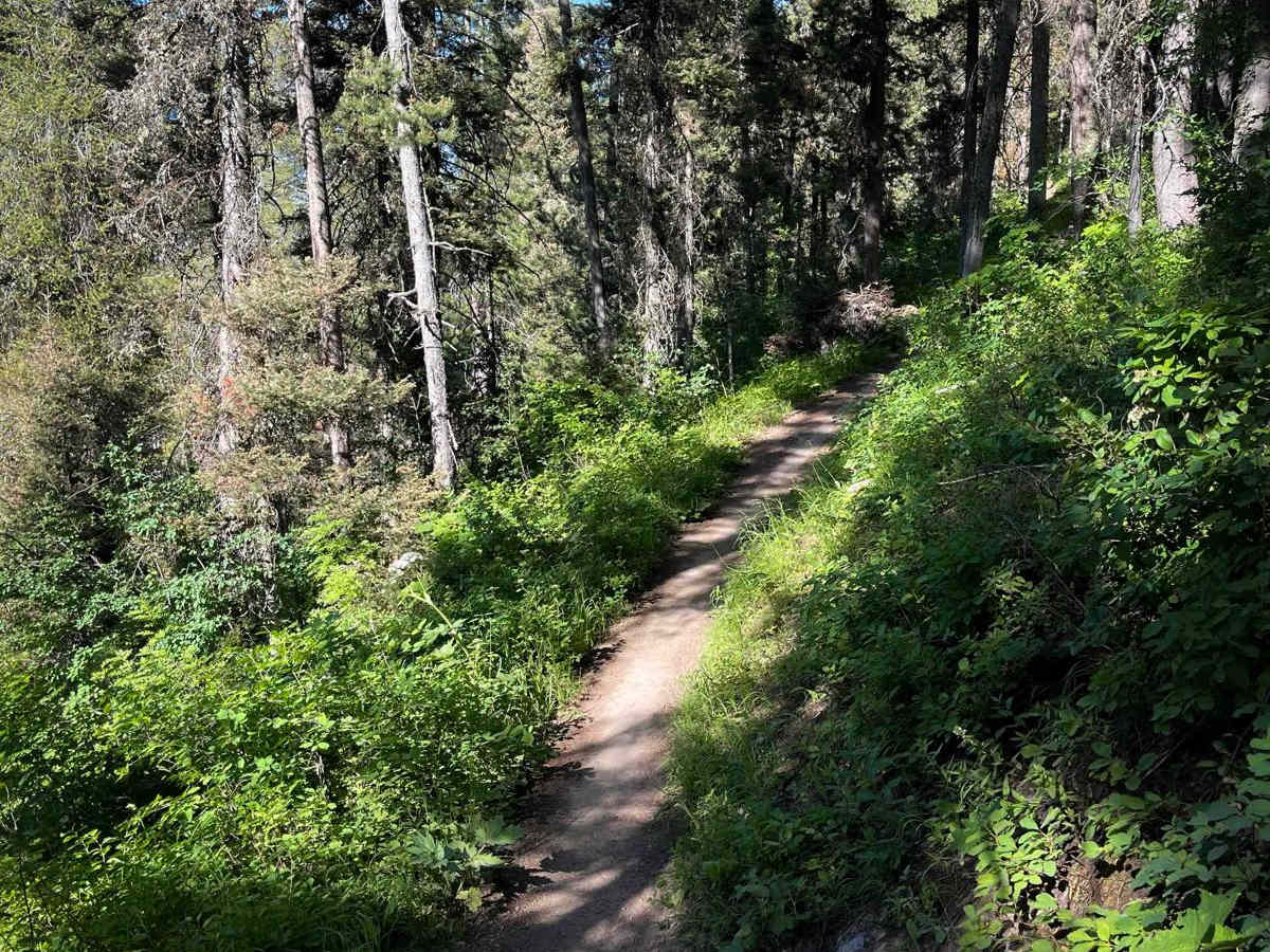 South Grove Creek photo 5