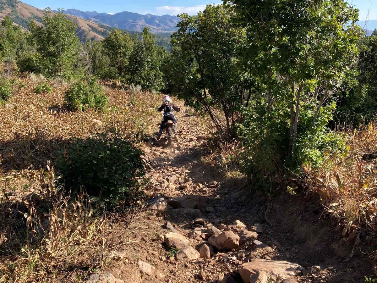 Thorn Spring trail photo