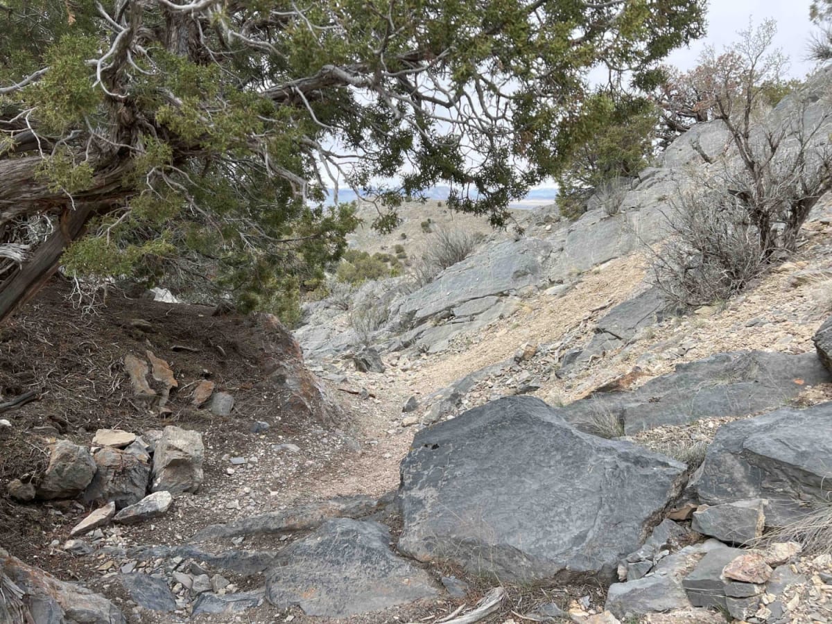 Rib Cage Canyon trail photo