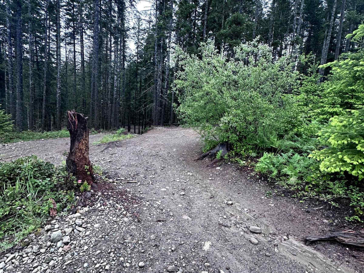 84 N Trail photo 2