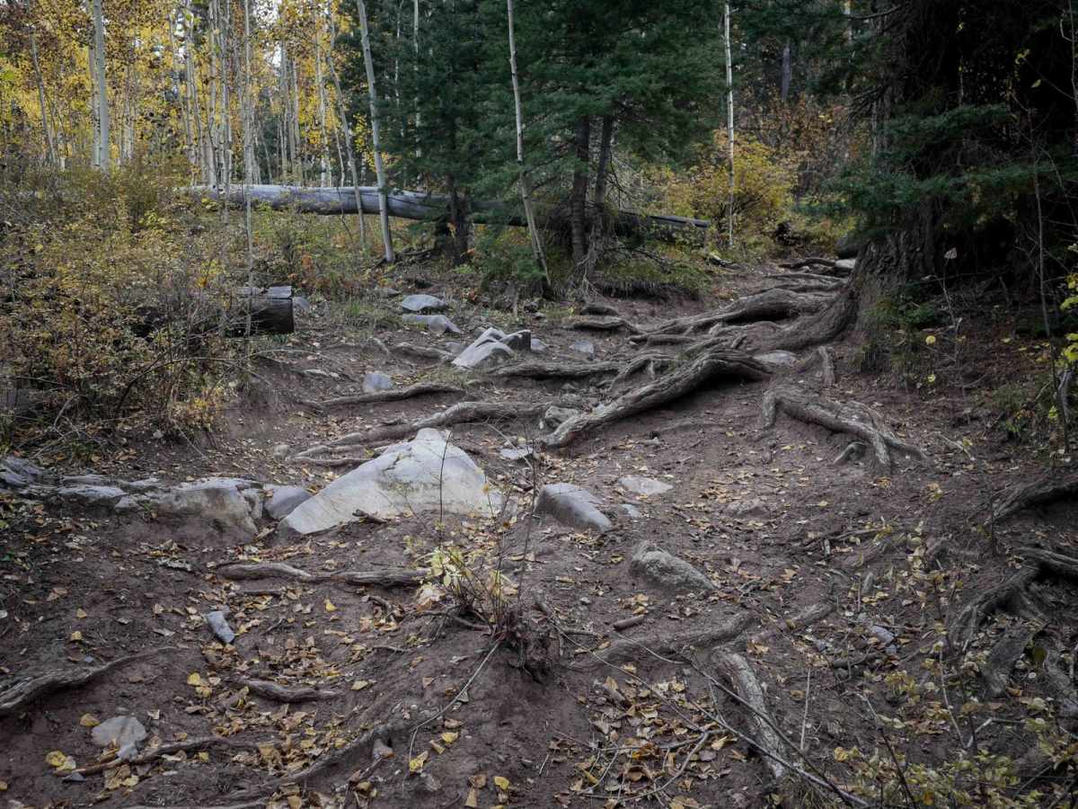 Dark Canyon photo 4