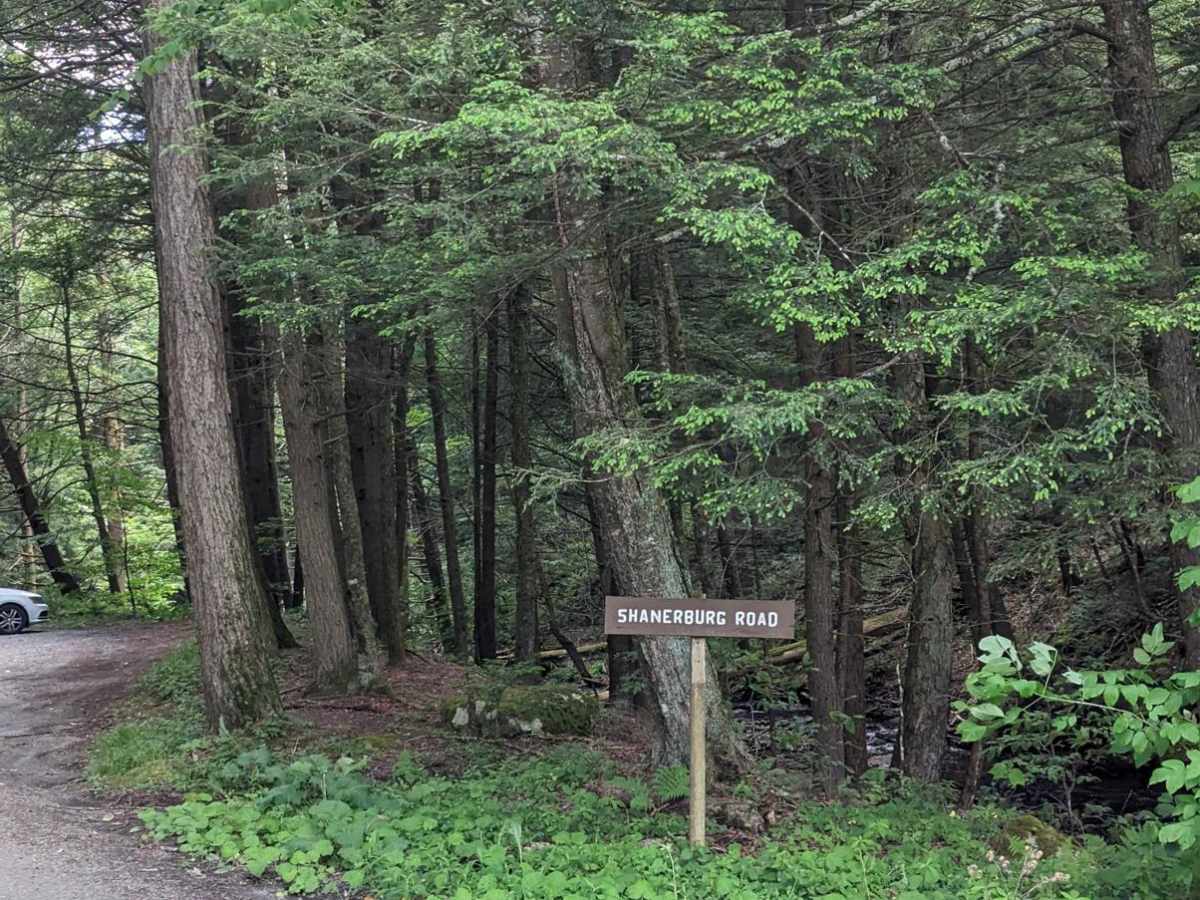 Shanerburg Road trail photo